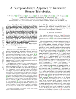 A Perception-Driven Approach To Immersive Remote Telerobotics