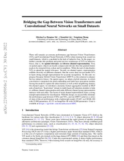 Bridging the Gap Between Vision Transformers and Convolutional Neural
  Networks on Small Datasets