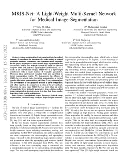 MKIS-Net: A Light-Weight Multi-Kernel Network for Medical Image
  Segmentation
