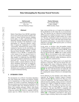 Data Subsampling for Bayesian Neural Networks