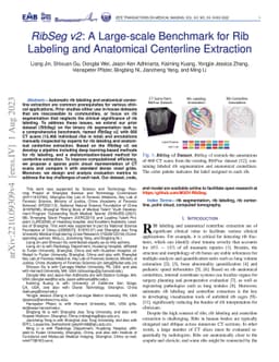 RibSeg v2: A Large-scale Benchmark for Rib Labeling and Anatomical
  Centerline Extraction