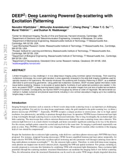 DEEP$^2$: Deep Learning Powered De-scattering with Excitation Patterning