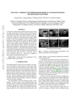 CMU-Net: A Strong ConvMixer-based Medical Ultrasound Image Segmentation
  Network