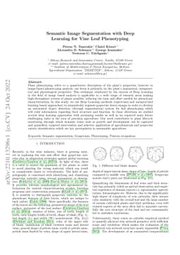 Semantic Image Segmentation with Deep Learning for Vine Leaf Phenotyping