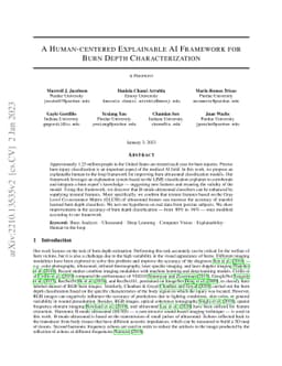 Human-centered XAI for Burn Depth Characterization