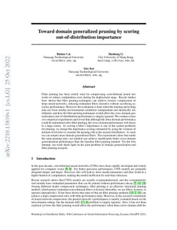 Toward domain generalized pruning by scoring out-of-distribution
  importance