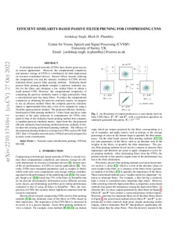 Efficient Similarity-based Passive Filter Pruning for Compressing CNNs