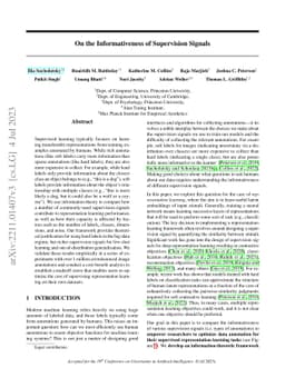 On the Informativeness of Supervision Signals