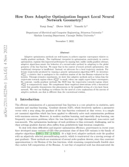 How Does Adaptive Optimization Impact Local Neural Network Geometry?