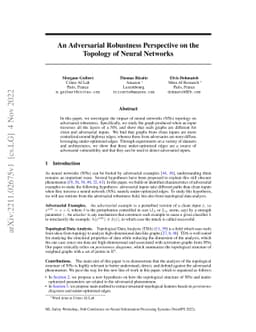 An Adversarial Robustness Perspective on the Topology of Neural Networks