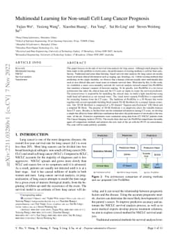Multimodal Learning for Non-small Cell Lung Cancer Prognosis