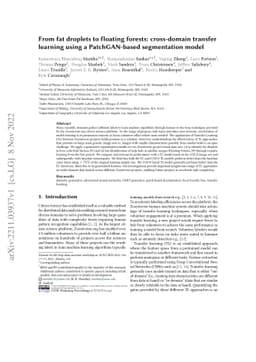 From fat droplets to floating forests: cross-domain transfer learning
  using a PatchGAN-based segmentation model