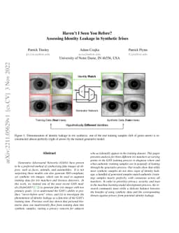 Haven't I Seen You Before? Assessing Identity Leakage in Synthetic
  Irises