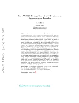 Rare Wildlife Recognition with Self-Supervised Representation Learning