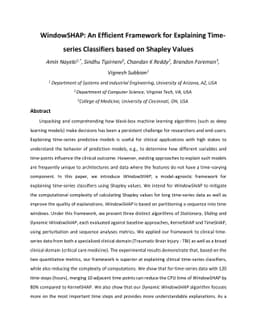 WindowSHAP: An Efficient Framework for Explaining Time-series
  Classifiers based on Shapley Values