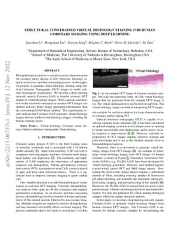 Structural constrained virtual histology staining for human coronary
  imaging using deep learning