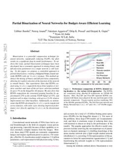 Partial Binarization of Neural Networks for Budget-Aware Efficient
  Learning