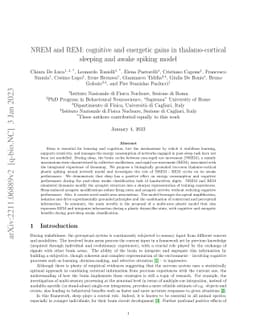 NREM and REM: cognitive and energetic gains in thalamo-cortical sleeping
  and awake spiking model