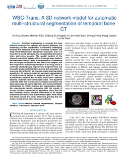 WSC-Trans: A 3D network model for automatic multi-structural
  segmentation of temporal bone CT