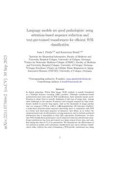 Language models are good pathologists: using attention-based sequence
  reduction and text-pretrained transformers for efficient WSI classification