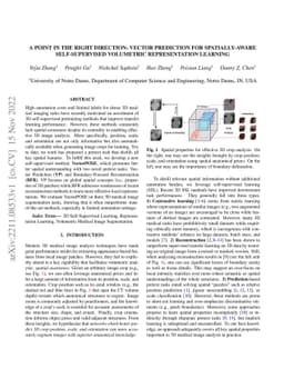 A Point in the Right Direction: Vector Prediction for Spatially-aware
  Self-supervised Volumetric Representation Learning