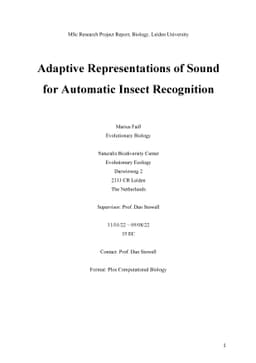 Adaptive Representations of Sound for Automatic Insect Recognition