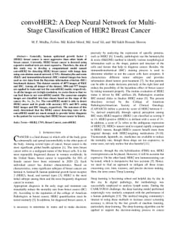 convoHER2: A Deep Neural Network for Multi-Stage Classification of HER2
  Breast Cancer