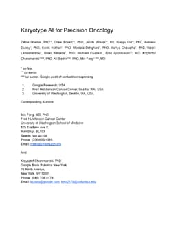 Karyotype AI for Precision Oncology