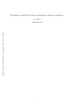 Homology-constrained vector quantization entropy regularizer