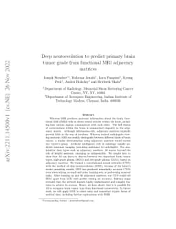 Deep neuroevolution to predict primary brain tumor grade from functional
  MRI adjacency matrices