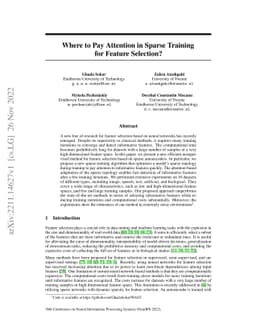 Where to Pay Attention in Sparse Training for Feature Selection?