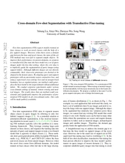 Cross-domain Few-shot Segmentation with Transductive Fine-tuning