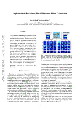 Explanation on Pretraining Bias of Finetuned Vision Transformer