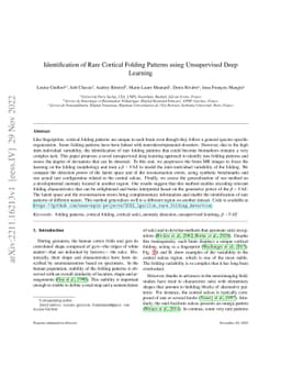 Identification of Rare Cortical Folding Patterns using Unsupervised Deep
  Learning