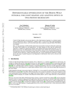 Differentiable optimization of the Debye-Wolf integral for light shaping
  and adaptive optics in two-photon microscopy