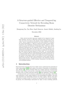 A Structure-guided Effective and Temporal-lag Connectivity Network for
  Revealing Brain Disorder Mechanisms