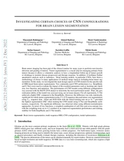 Investigating certain choices of CNN configurations for brain lesion
  segmentation