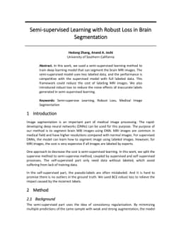 Semi-supervised Learning with Robust Loss in Brain Segmentation