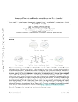 Supervised Tractogram Filtering using Geometric Deep Learning