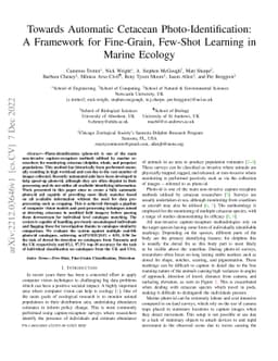 Towards Automatic Cetacean Photo-Identification: A Framework for
  Fine-Grain, Few-Shot Learning in Marine Ecology