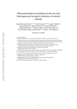 Phenomenological modeling of diverse and heterogeneous synaptic dynamics
  at natural density