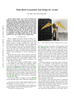 Wake-Based Locomotion Gait Design for Aerobat