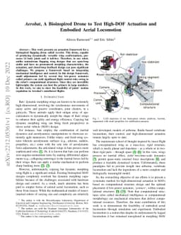 Aerobat, A Bioinspired Drone to Test High-DOF Actuation and Embodied
  Aerial Locomotion