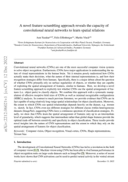 A novel feature-scrambling approach reveals the capacity of
  convolutional neural networks to learn spatial relations
