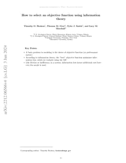 How to select an objective function using information theory