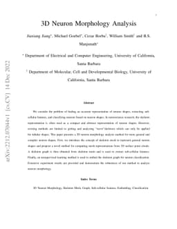 3D Neuron Morphology Analysis