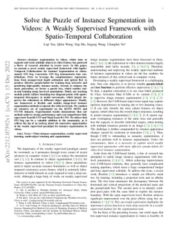 Solve the Puzzle of Instance Segmentation in Videos: A Weakly Supervised
  Framework with Spatio-Temporal Collaboration