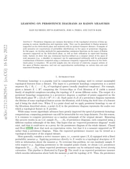 Learning on Persistence Diagrams as Radon Measures