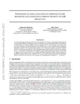 Topological data analysis of vortices in the magnetically-induced
  current density in LiH molecule