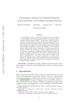 Convergence Analysis for Training Stochastic Neural Networks via
  Stochastic Gradient Descent